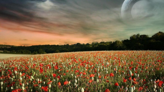 两个问题：女足工资为什么比男足低？如果中国女足和中国男足打一场谁会赢？